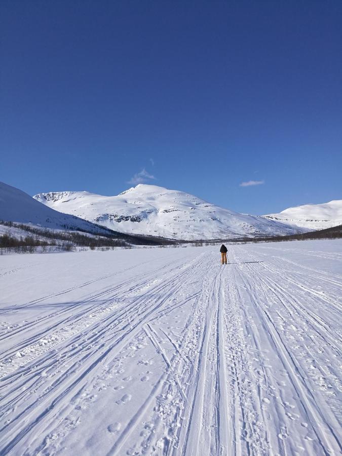 Villa Lapphaugen Turiststasjon Tennevoll Esterno foto