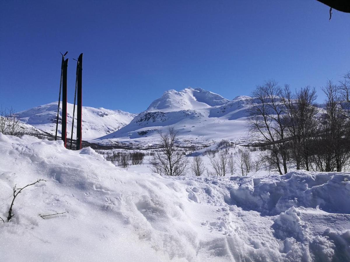 Villa Lapphaugen Turiststasjon Tennevoll Esterno foto