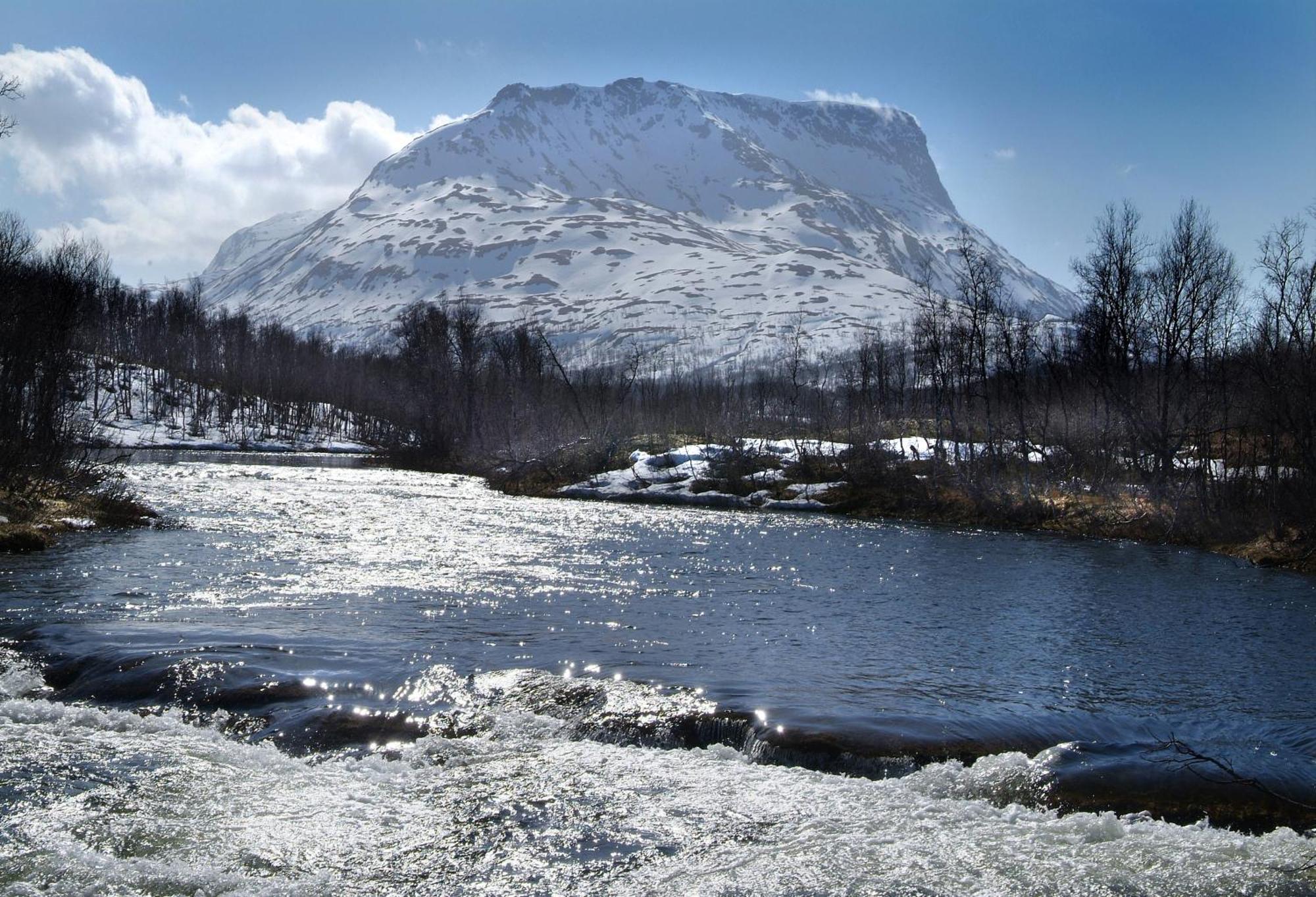 Villa Lapphaugen Turiststasjon Tennevoll Esterno foto