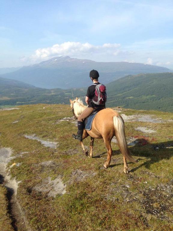 Villa Lapphaugen Turiststasjon Tennevoll Esterno foto