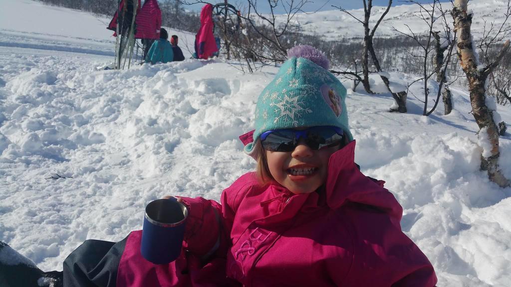 Villa Lapphaugen Turiststasjon Tennevoll Esterno foto
