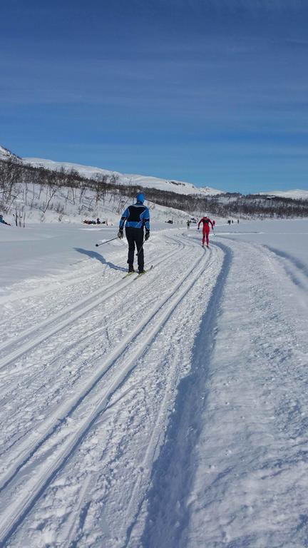 Villa Lapphaugen Turiststasjon Tennevoll Esterno foto
