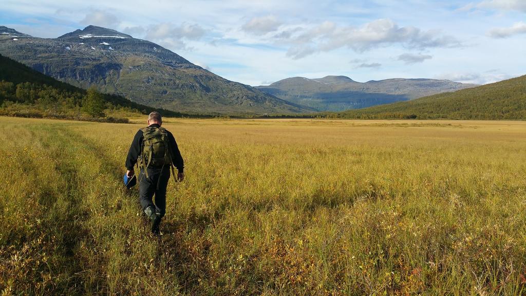 Villa Lapphaugen Turiststasjon Tennevoll Esterno foto